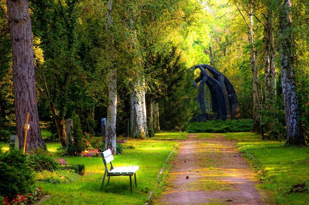 a greenish park with a bench