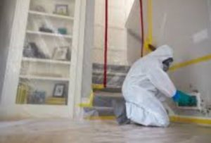 mold remediation
