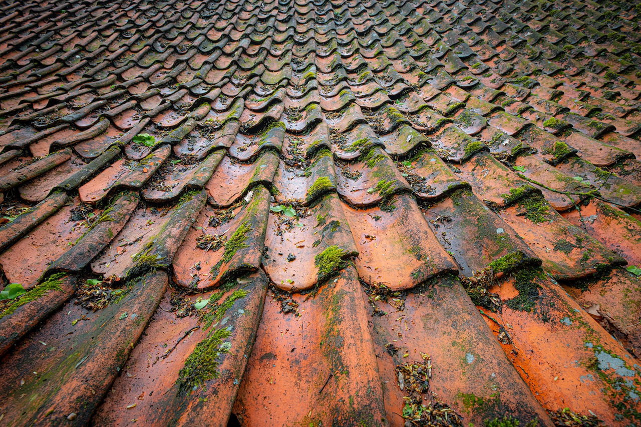 The Common Causes of Roof Damage