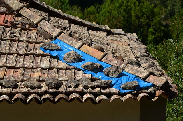 roof debris